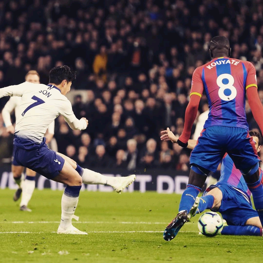 制王哲林这 制王哲林这